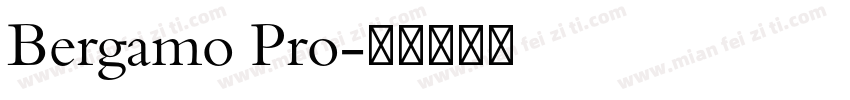 Bergamo Pro字体转换
